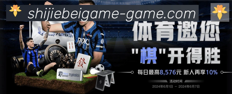 未来规划